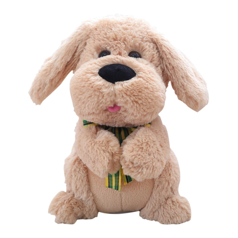 |14:29#Dog;200007763:201336100|3256801833612843-Dog-China