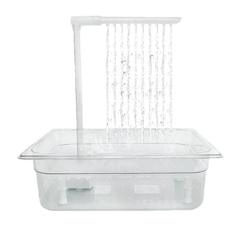 Bird Bathing Shower Box