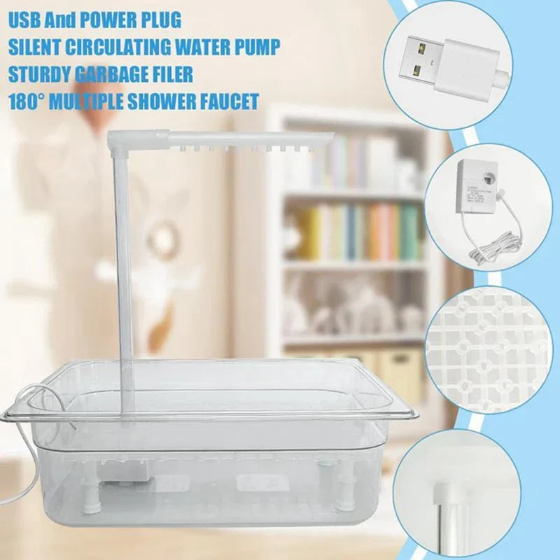 Bird Bathing Shower Box