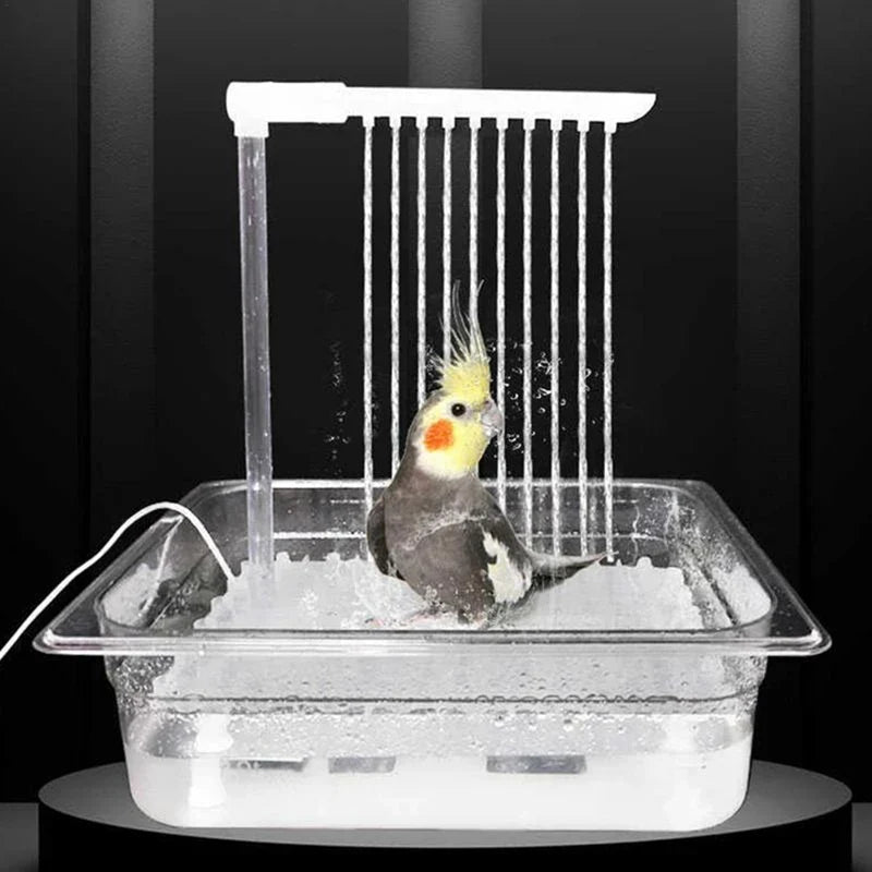 Bird Bathing Shower Box